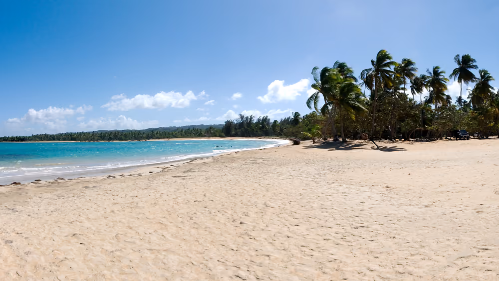 Playa de Las Terrenas, Samaná, con palmeras y agua turquesa